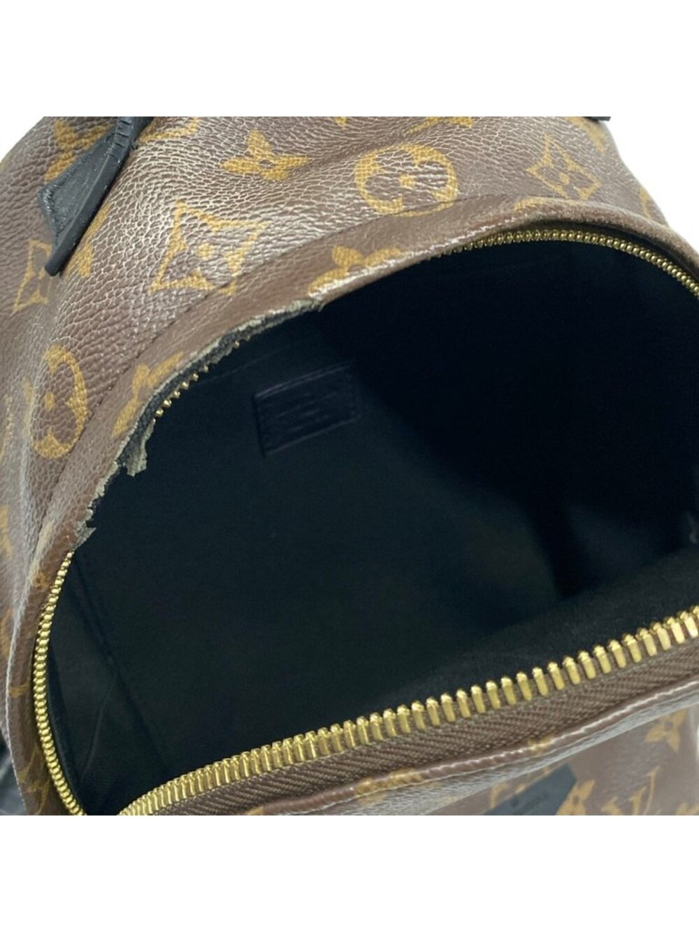 Louis Vuitton Sac Monogram Palm Springs Backpack PM - Picture 7 of 15